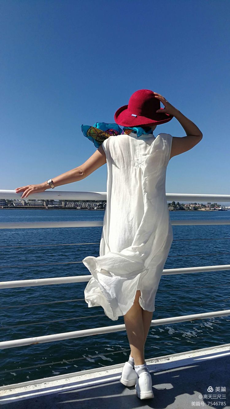 鍖楃編鏋儏闃虫柊,鍖楃編鏋儏鍥剧墖