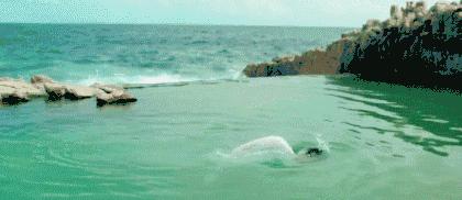 蓝色大海的传说全智贤穿搭玫红色,全智贤蓝色大海的传说眼泪变珍珠