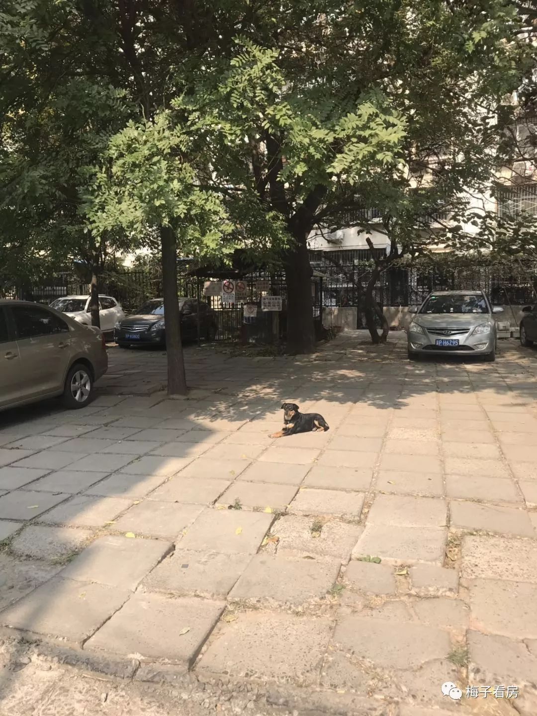 旧宫清和园至西红门公交车,多少路公交车到旧宫清和园