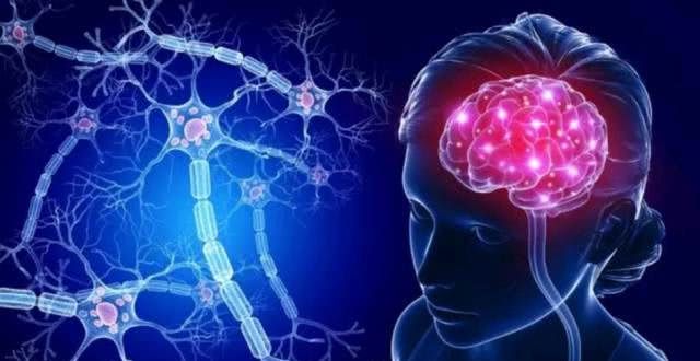 女子与量子,意识与量子的相似性