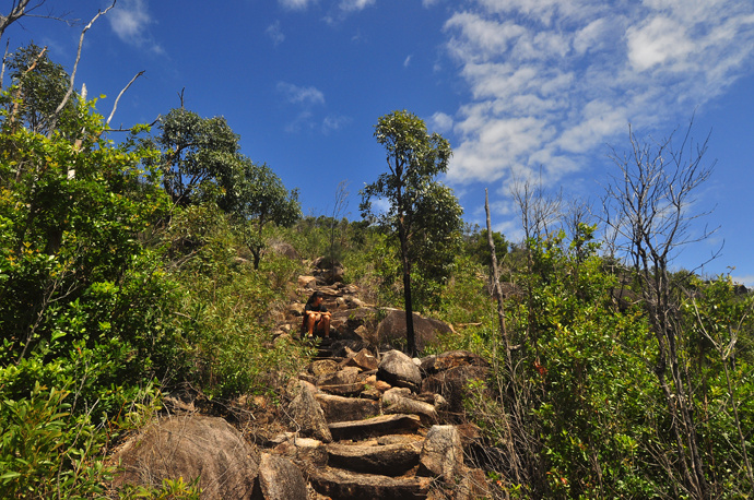 全民热遗|大堡礁上有个翡翠岛,绝美好玩,还是海龟康复中心
