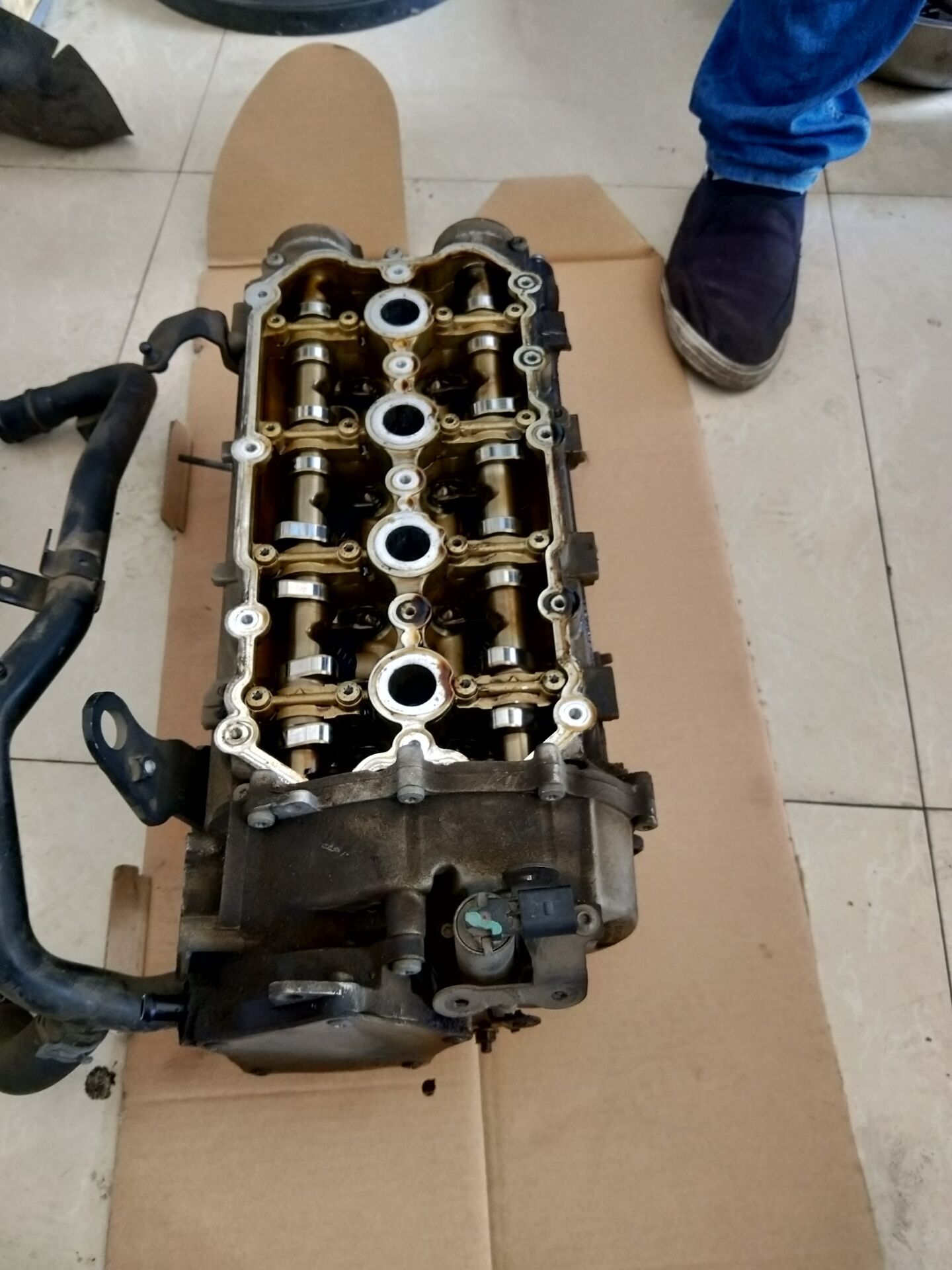 宁波车友奥迪,宁波哪家店专业维修奥迪烧机油