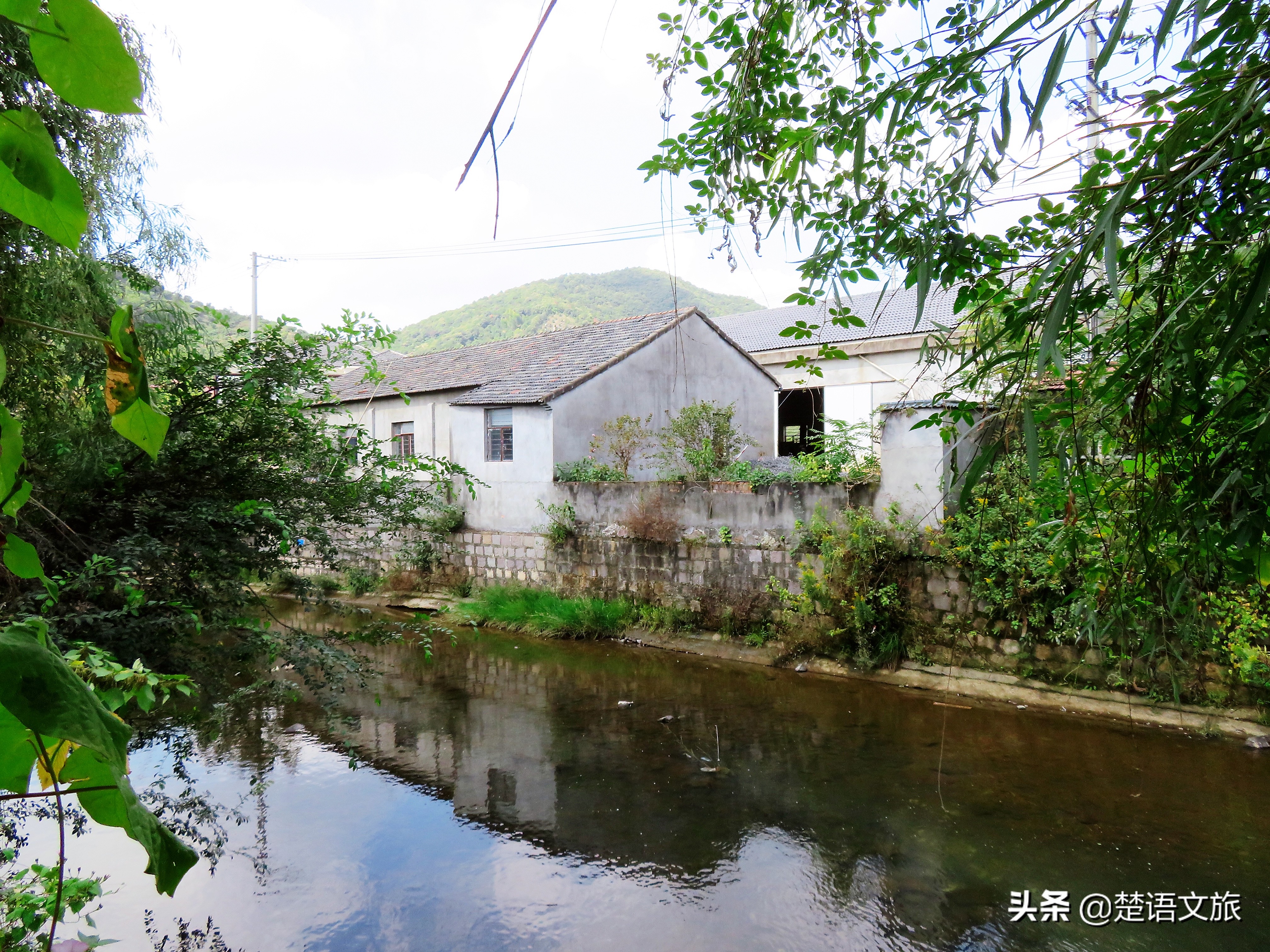盛产杨梅而闻名的县是哪里,杨梅之乡余姚在什么省