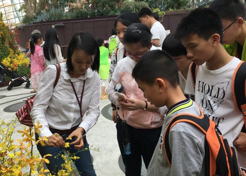 孩子心理素质差不想学习怎么办,孩子心理不好怎么解决