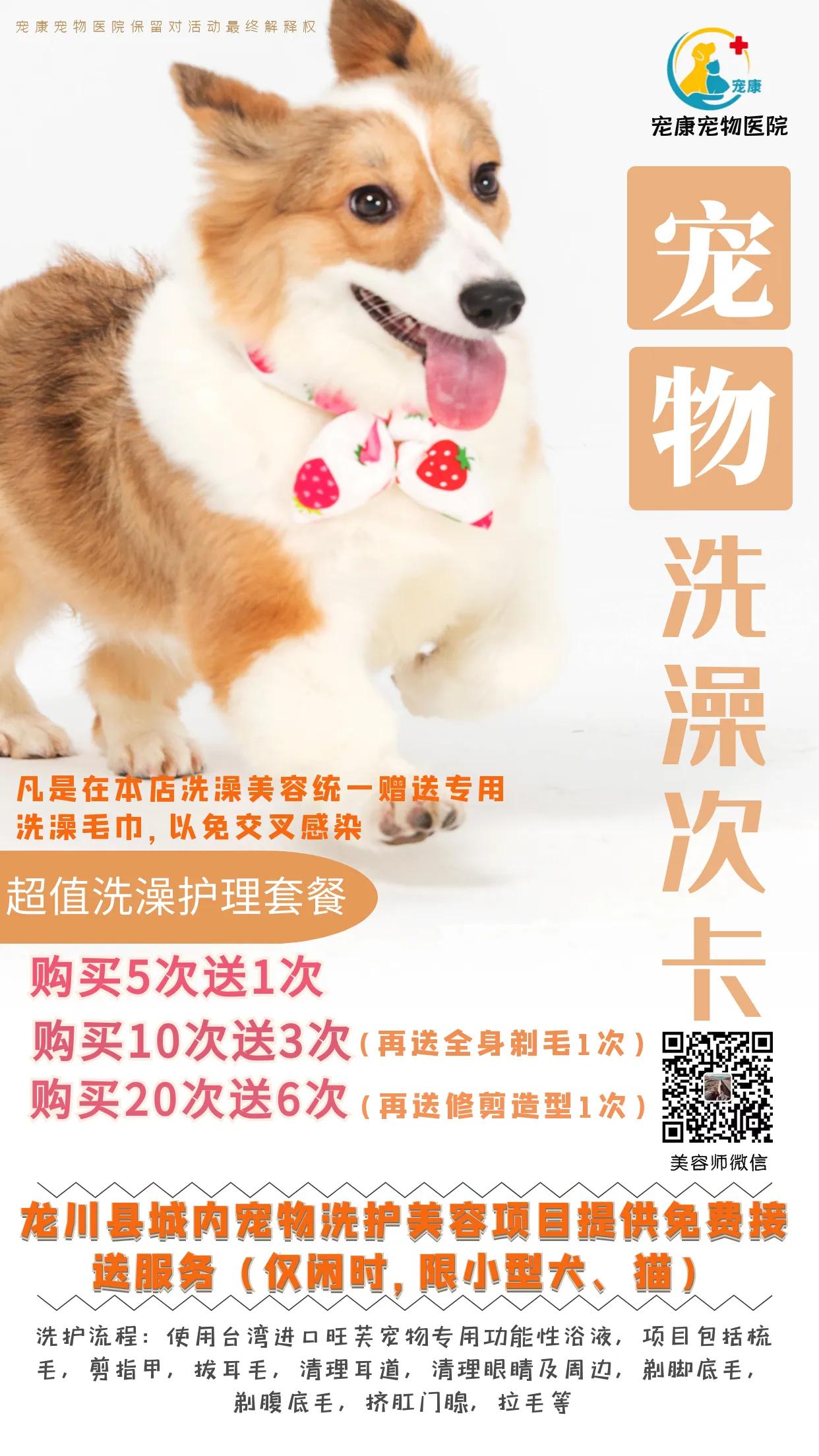 龙川养狗的人,龙川养蛋白虫