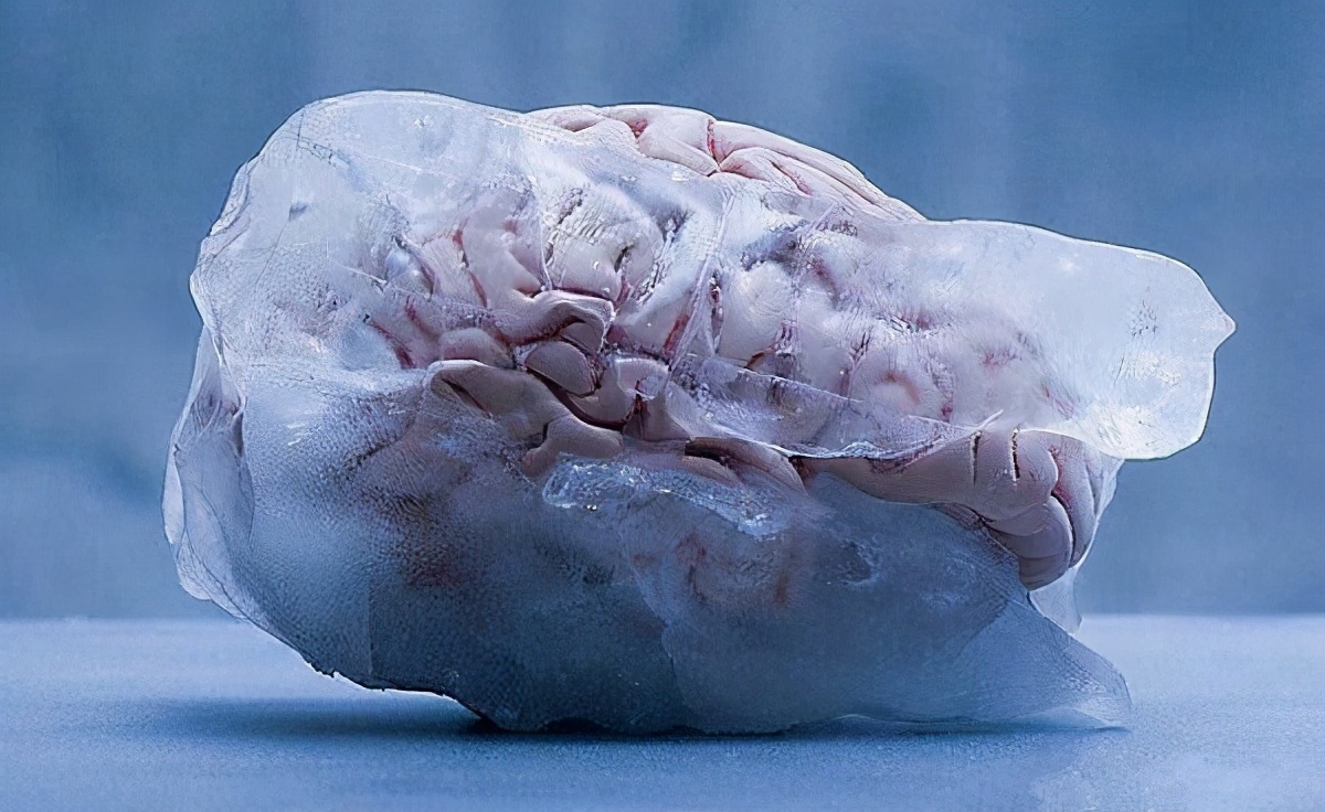 人类靠冷冻技术可以永生吗,人体冷冻技术发展前景