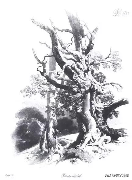 静物素描风景图临摹,简单又好画的彩铅素描风景图