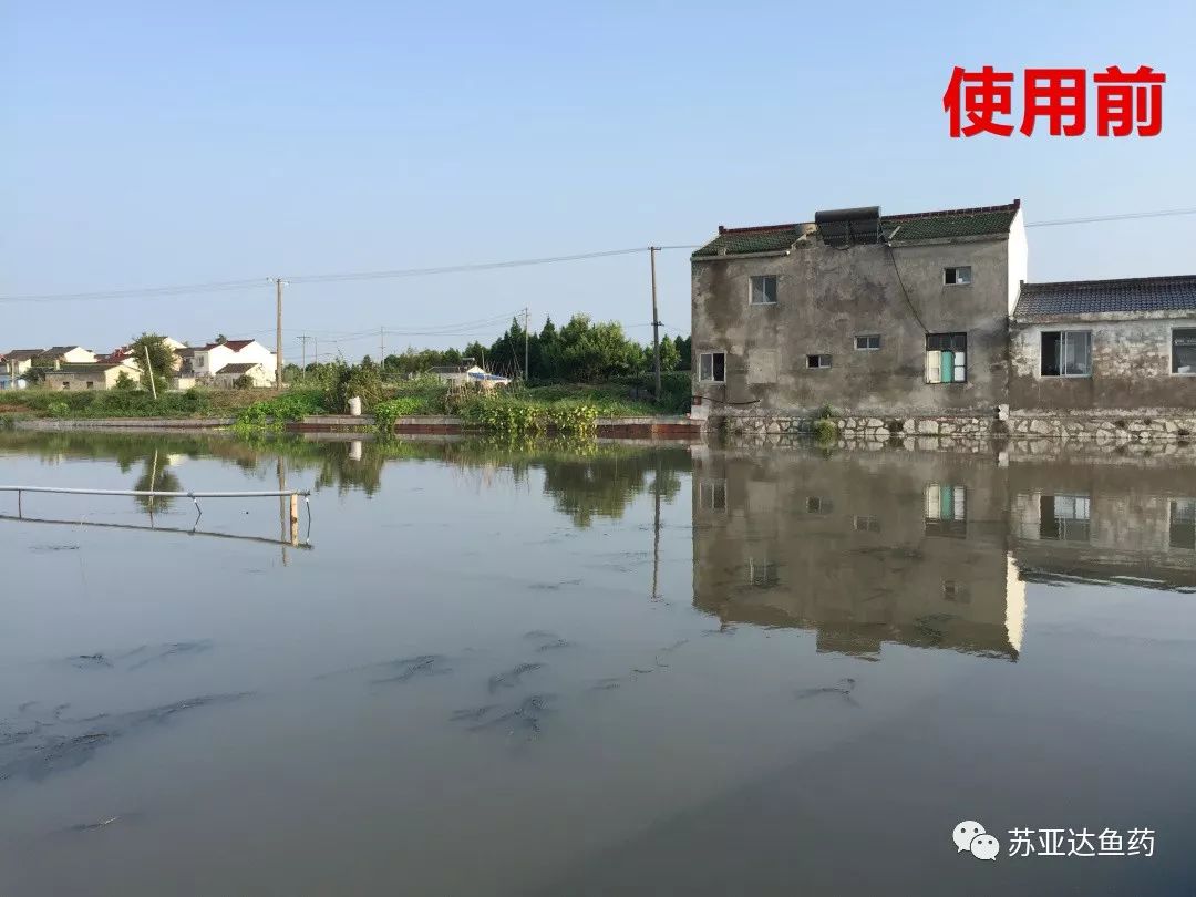 降氨浊水清，一招搞定白浊水