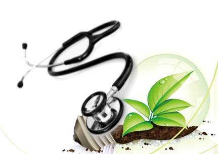 王成树蛹虫草,王成树说蛹虫草