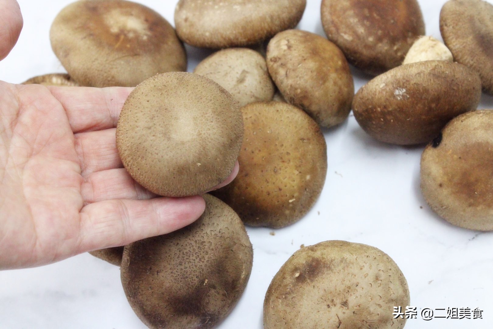 挑新鲜香菇,鲜香菇怎么选