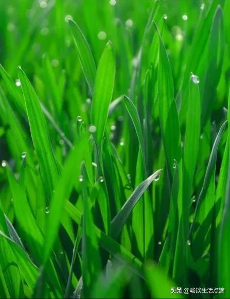 关于立冬大风的谚语,立冬刮大风啥兆头