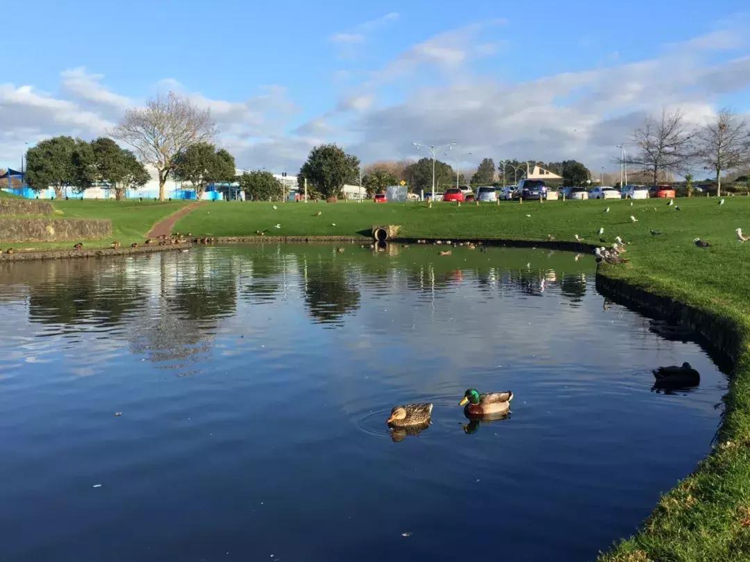 2.5.3漫话新西兰--(第0篇)只如初见