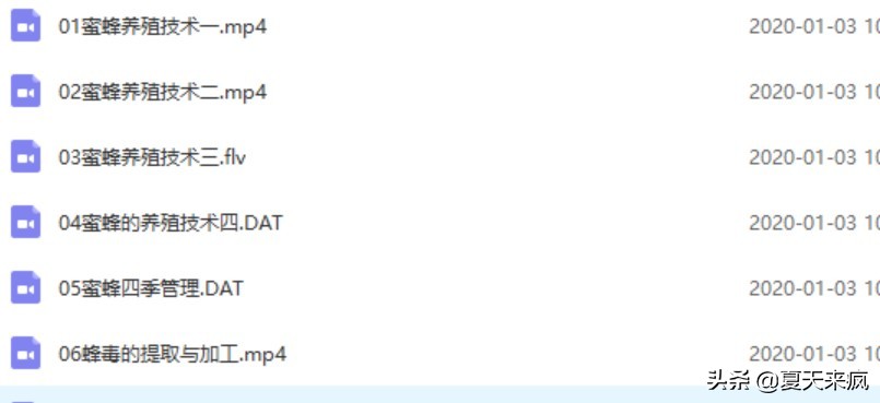 蜜蜂养殖技术养蜜蜂视频技术资料
