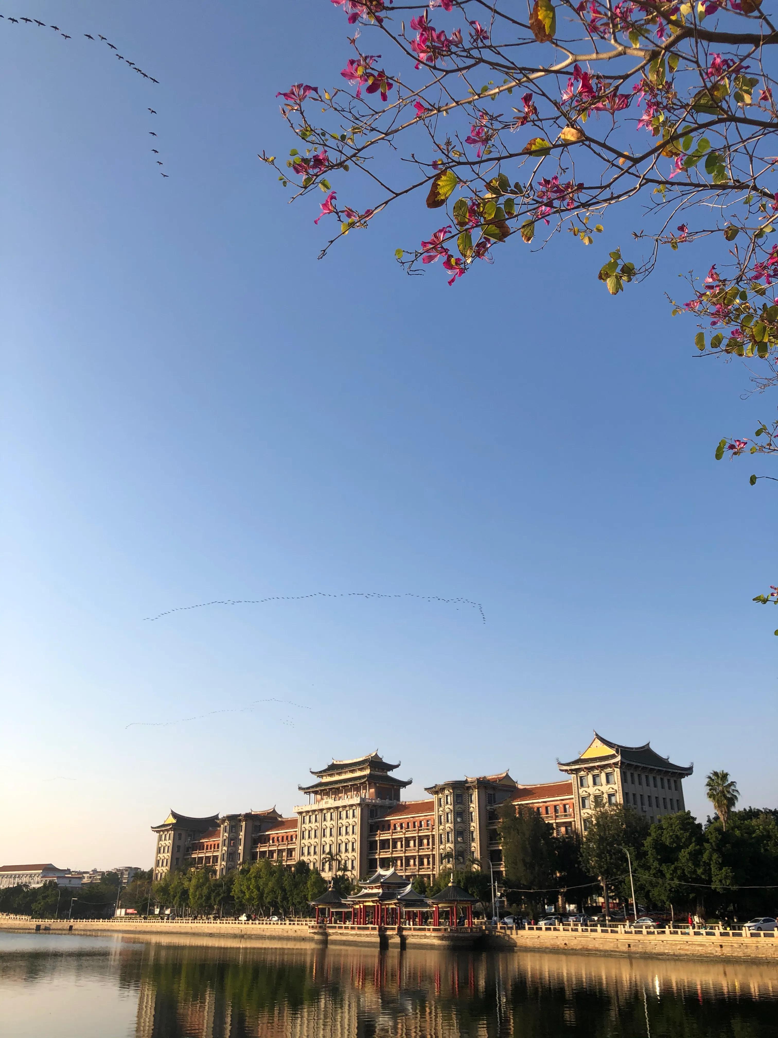 厦门集美学村龙舟池好玩吗,厦门集美学村龙舟池捞鱼