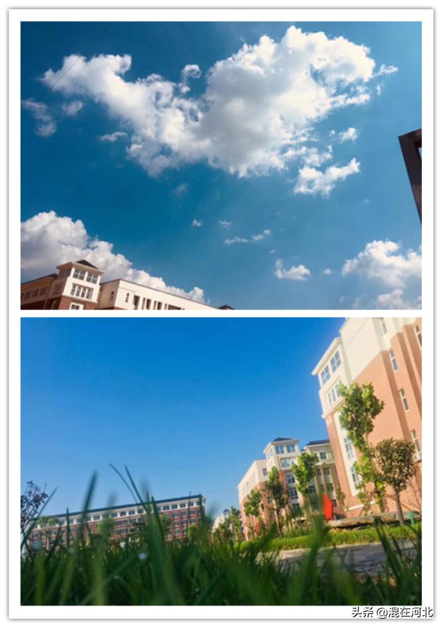 衡水学谷小镇最新进展,衡水市桃城中学办学规模