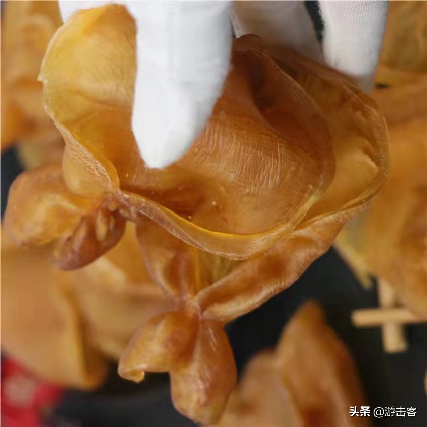 假花胶浸泡后有透明胶,鸡蛋胶假冒黄花胶