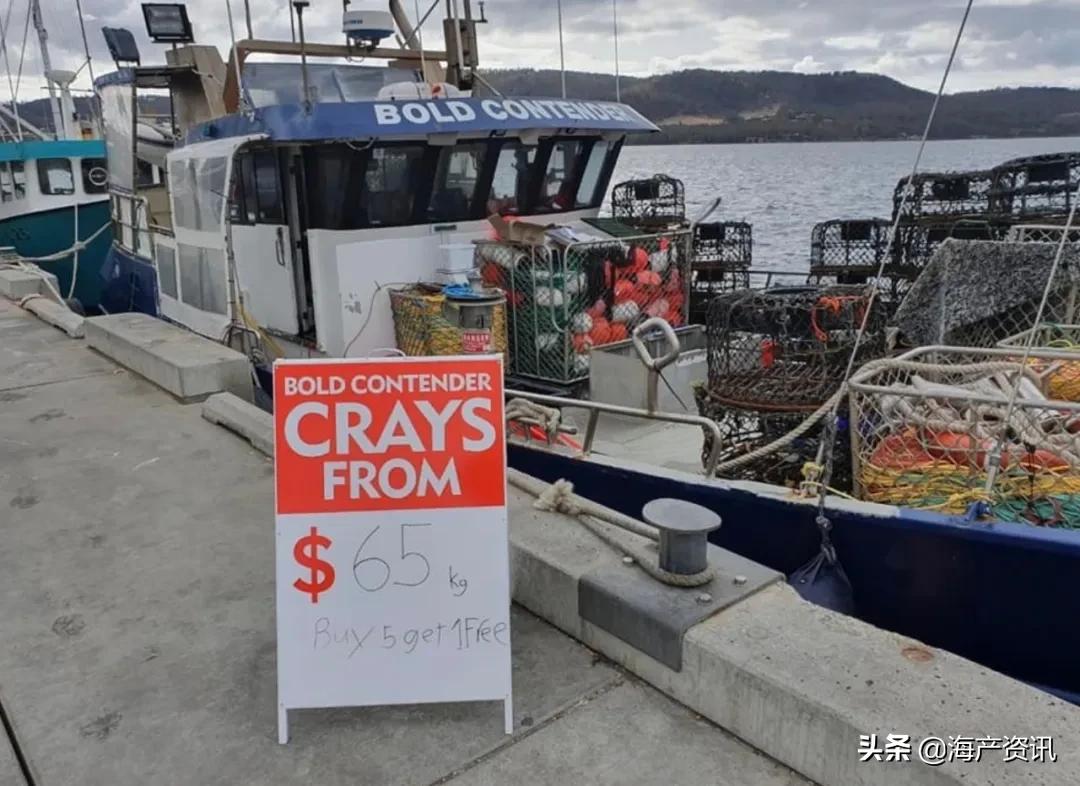 龙虾价格为什么突然暴跌,龙虾降价