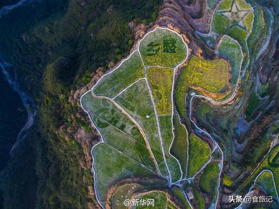 青田的青田,青田是中国的华侨之乡