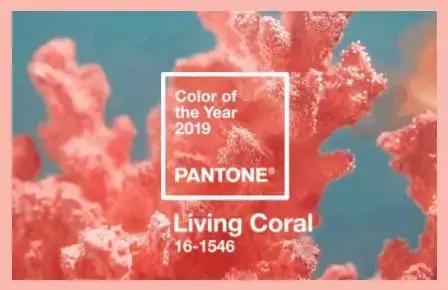 任何肤色都能驾驭的显白发色,显白发色明星同款