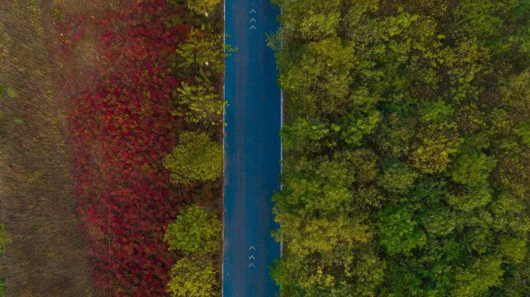 这里是中国用英语怎么说,这里是中国读后感