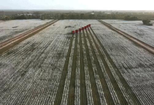 HM*制抵***疆新**棉花：明明那么普通，哪来的自信？