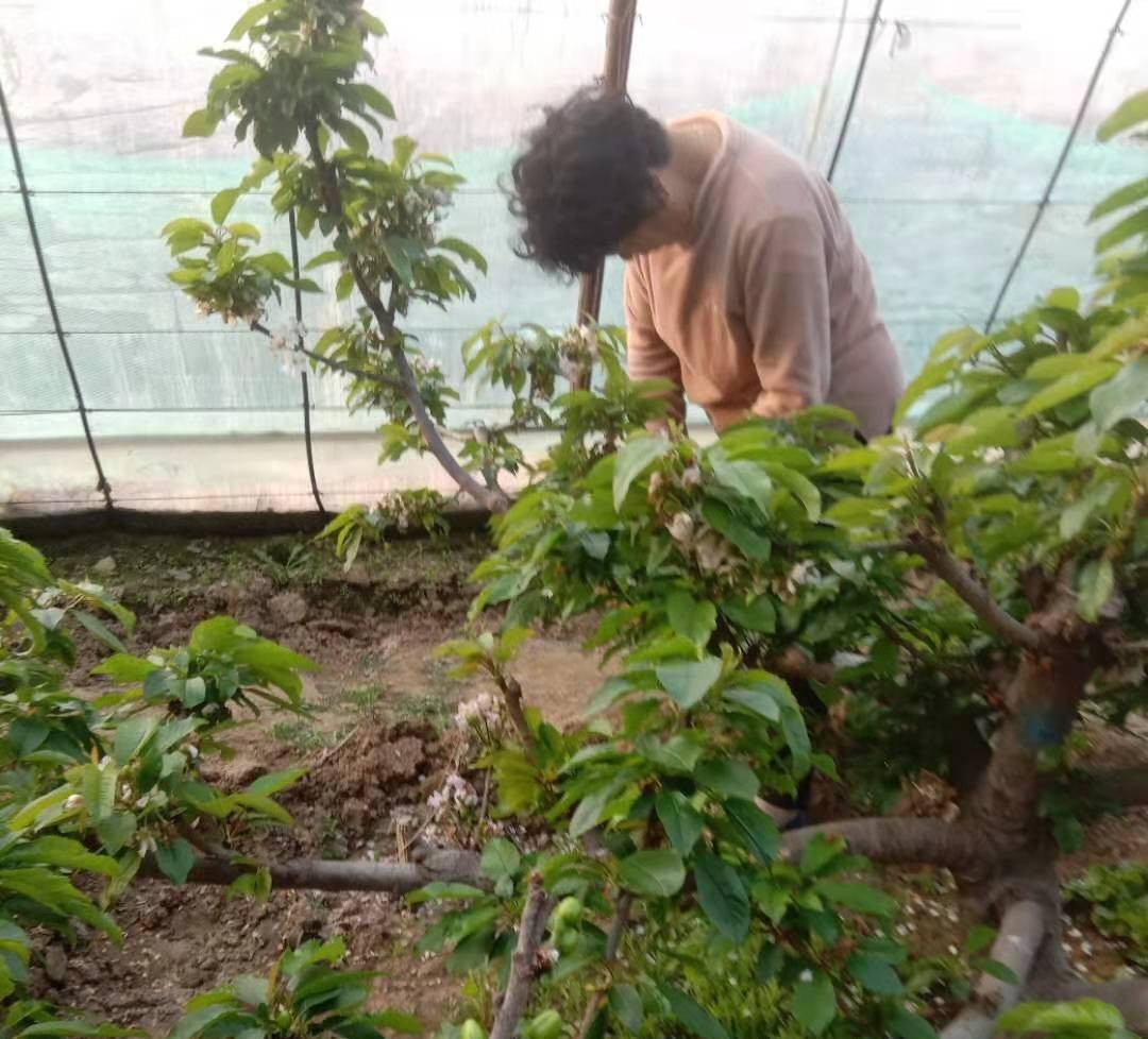 喜大普奔大结局,喜大普奔最后怎么样了