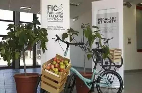 富二*开代**超市，情人节为单身狗开Party，年赚25亿