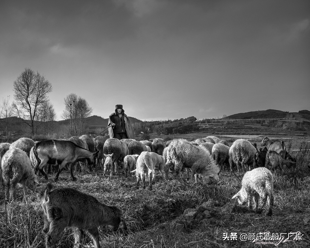 刑事案件未找到尸体能否立案,内蒙古杀人埋尸案