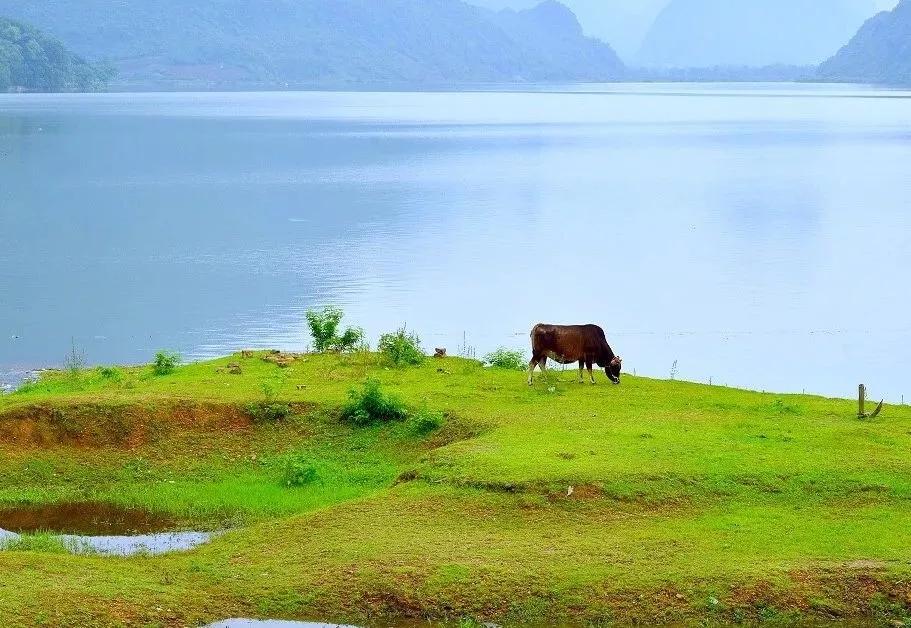 最好的养生方法,最好的养生方法都是免费的