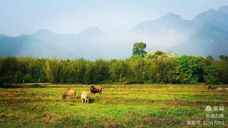 高五幸,高五幸诗词