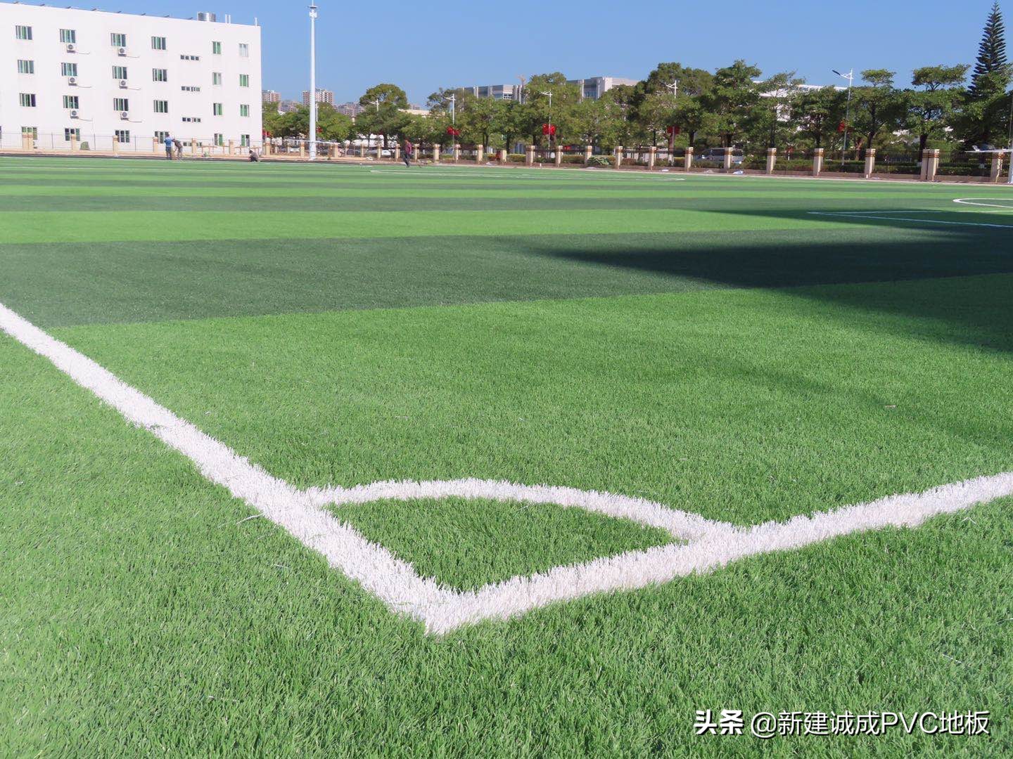 2024欧洲杯球场草坪人造草坪,人造草坪和天然草坪的区别