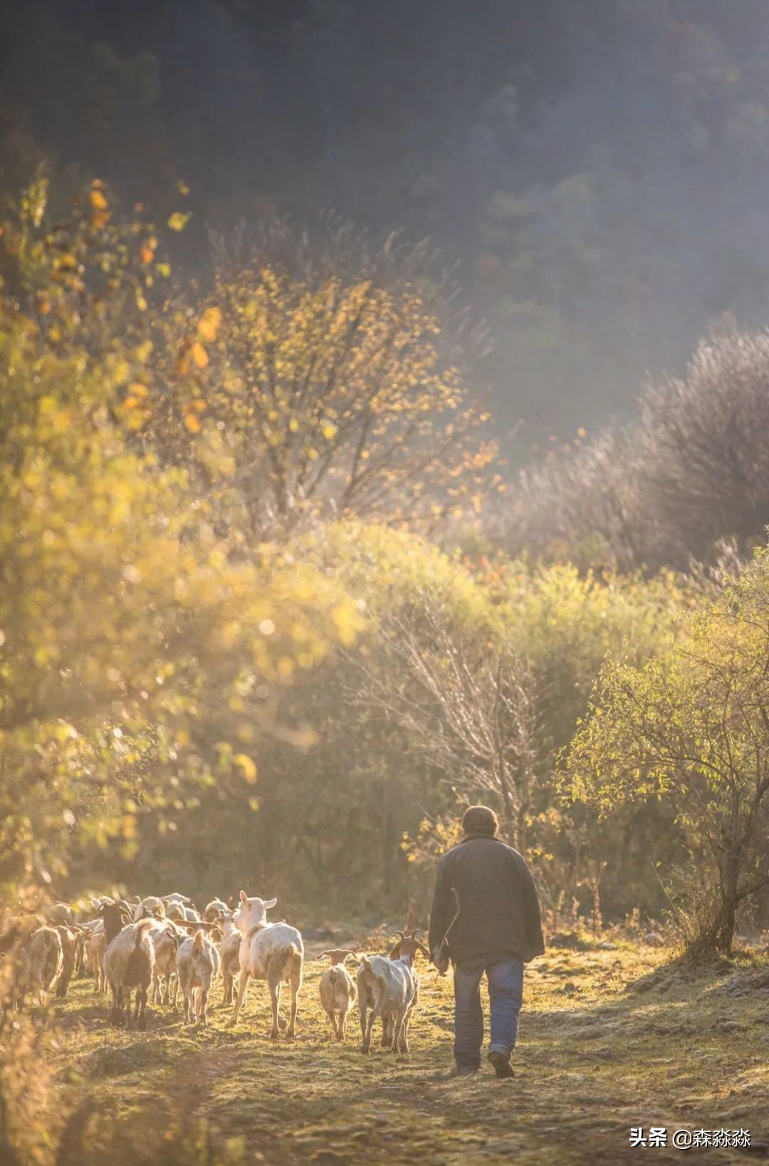 秦岭赏秋怎么玩才好玩呢,大秦岭山旅游攻略