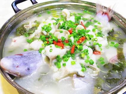 名贵的六种鱼你吃过几种,20种名贵海鱼