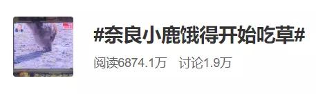 因疫情影响旅游,受疫情影响的日本旅游业