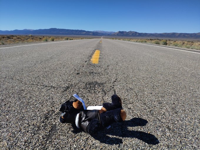 自驾游美国西雅图攻略,从西雅图到洛杉矶自驾游攻略