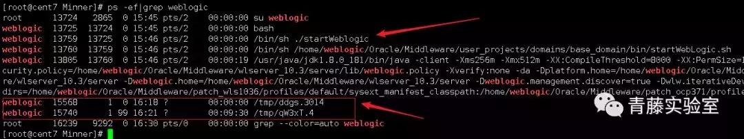 苹果挖矿木马如何查杀,如何检测是否有木马挖矿