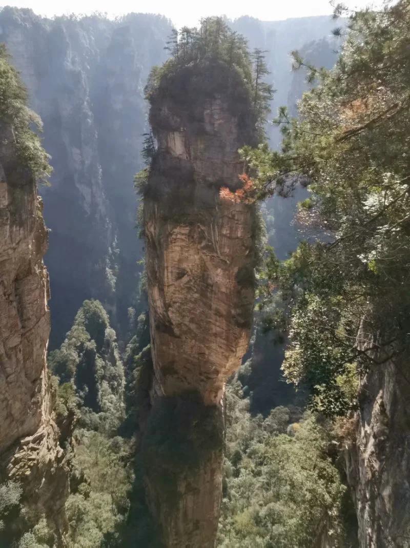 亲爱的:疫情过后我们再约未知旅程可好？给久违的平静添加色彩