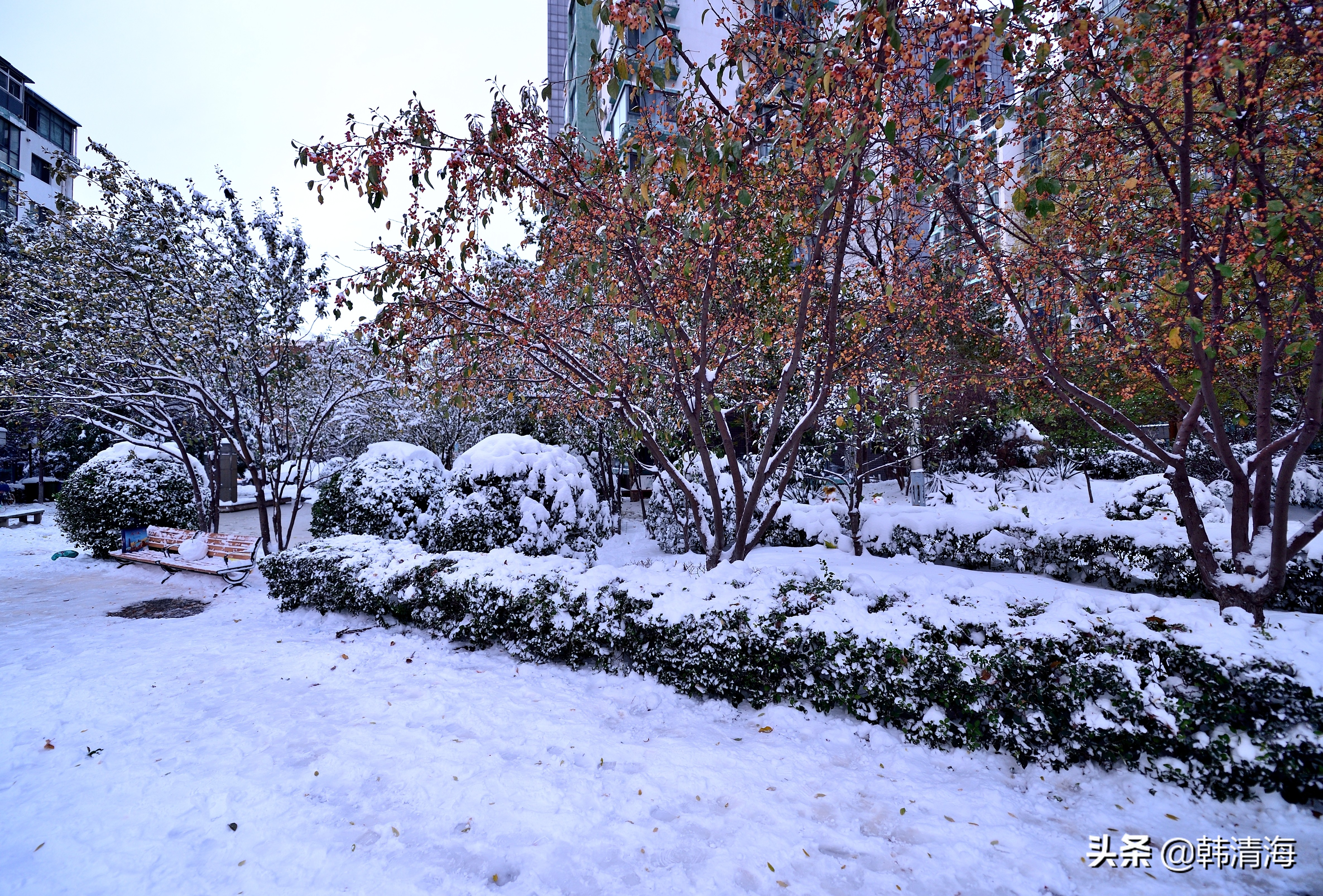 2021天津第一雪水畔花园小区装扮得更加圣洁和美丽