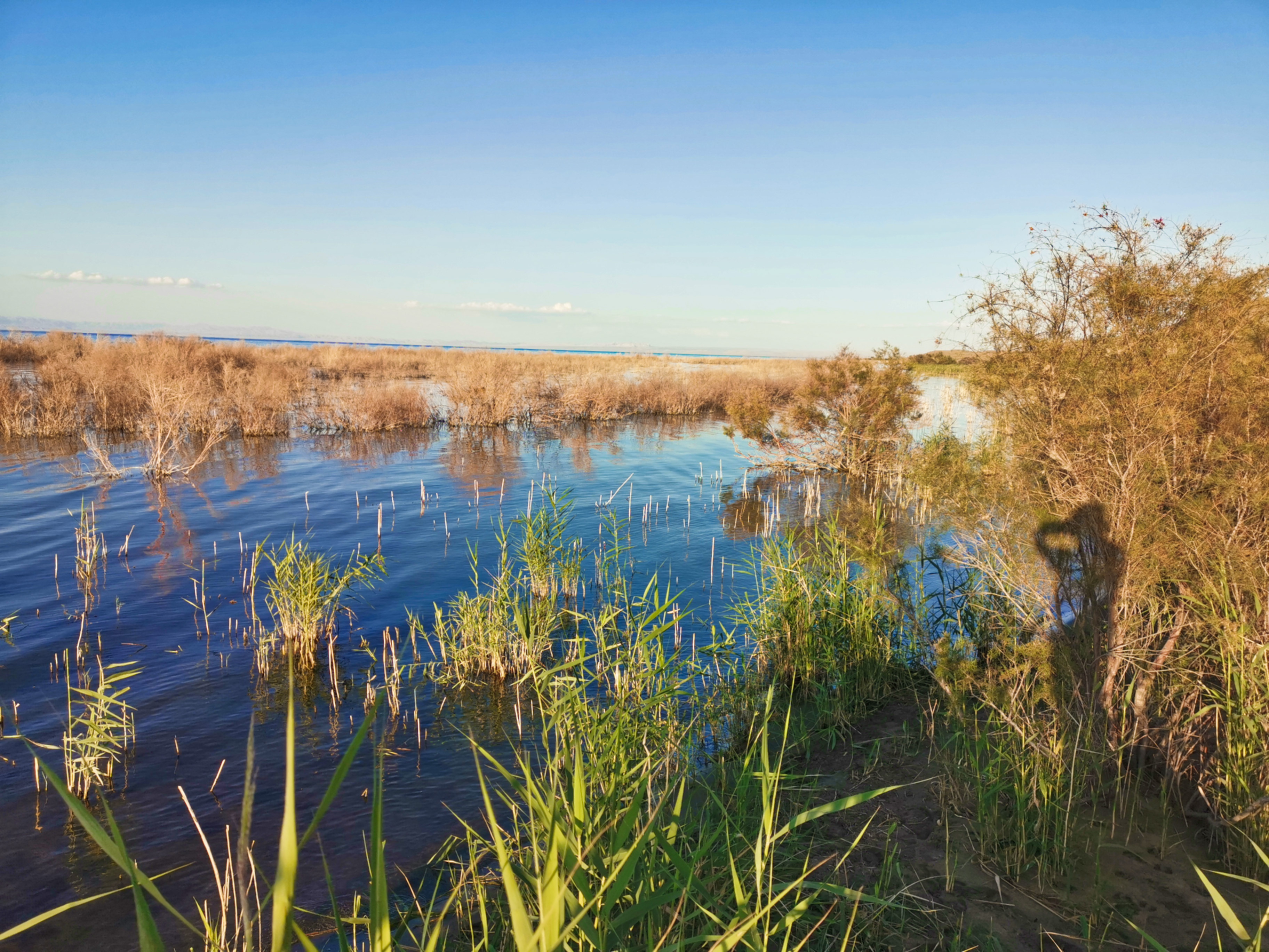 退休老人独自旅行全中国,退休老人旅游住宿