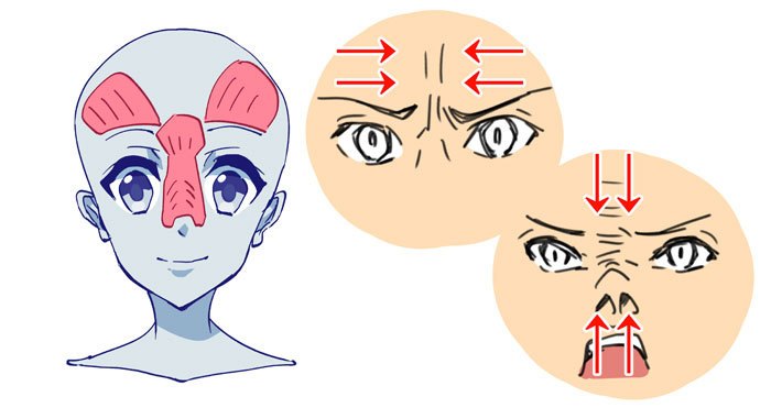 动漫人物怎么画头部,怎么画动漫人物头部结构