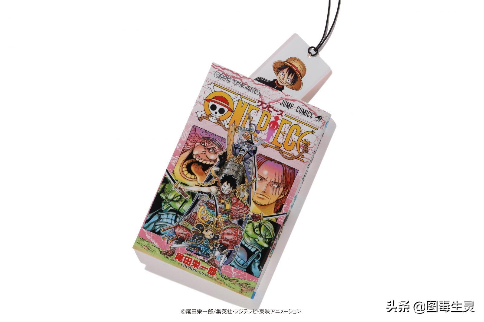 海贼王路飞经典五套服装,海贼王路飞一伙服装变化