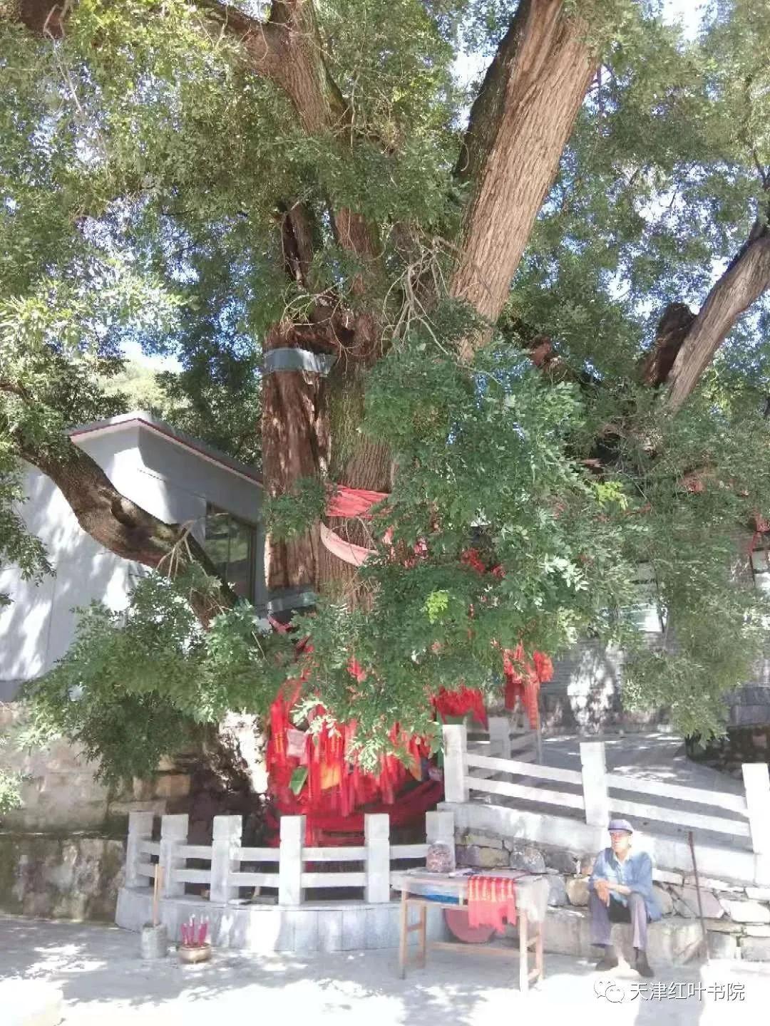 蓟州区诗词,关于天津蓟州的古诗