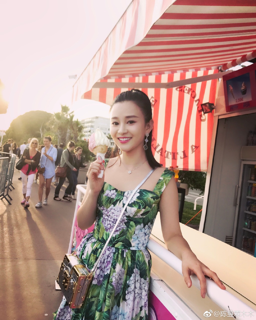 陈昱霖的奢侈品,陈昱霖同款珠宝包