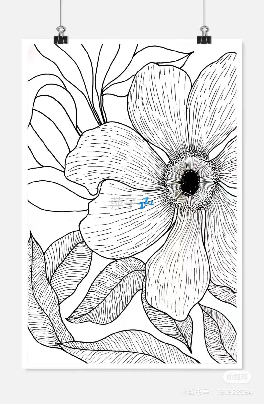 花卉简单线描创意画,花草线描画装饰