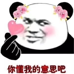 美宝旅行证去香港哪里更换,美宝去香港换旅行证没成功