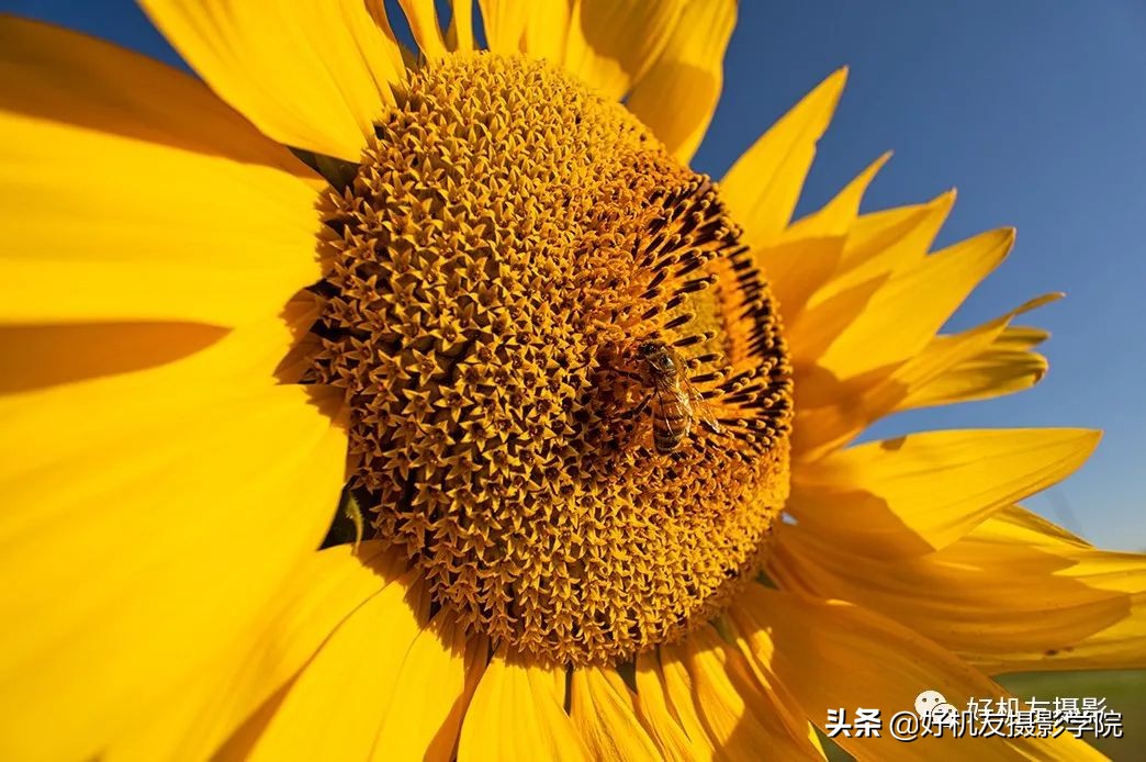 索尼全画幅适马和腾龙怎么选,腾龙和适马镜头哪个适合索尼微单