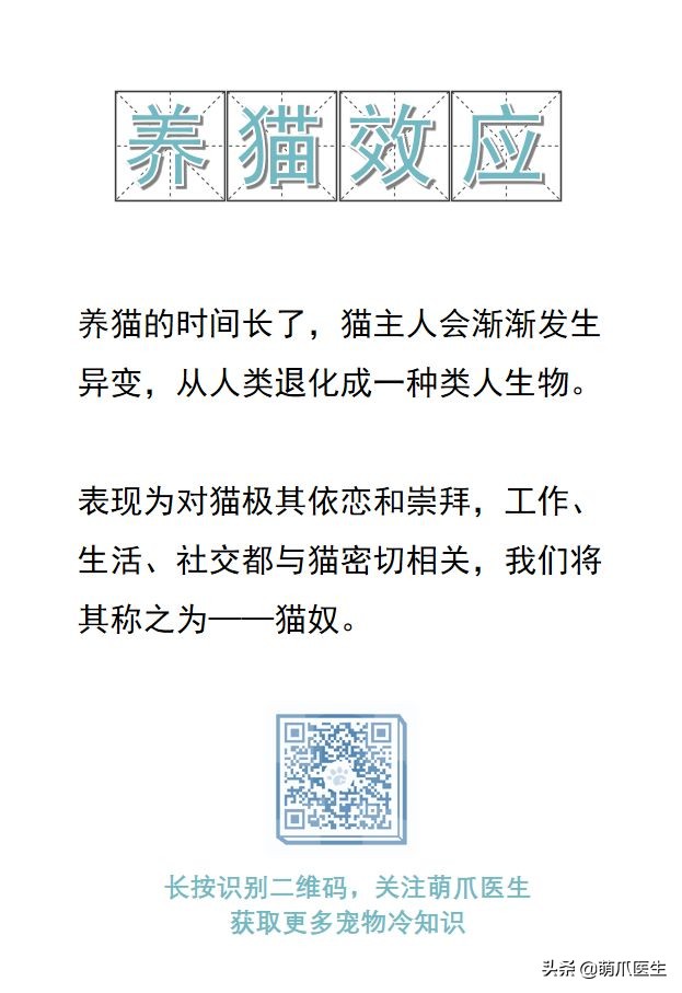 猫这篇文章告诉我们的道理,猫这篇文章告诉我们一个什么道理