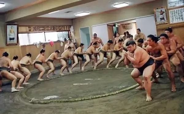 为什么日本人喜欢看两个胖胖“打架”？