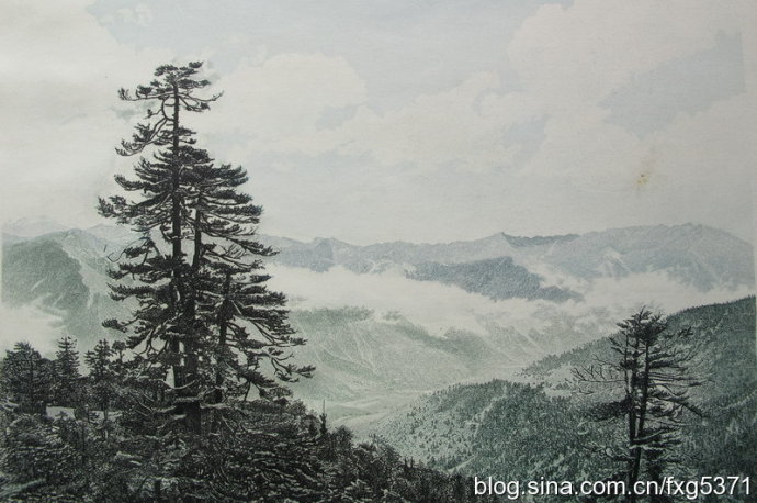 手工雕刻作品的收藏价值,真实的雕刻作品欣赏