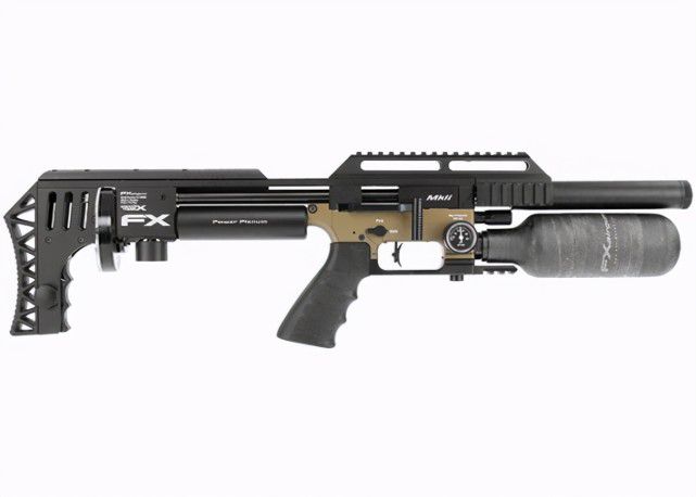 新赛季最好用的步枪,国外最新pcp步枪